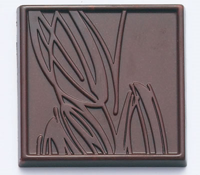Chocolate Mould For Tasting Bars